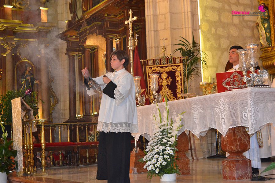 corpus 8 copia