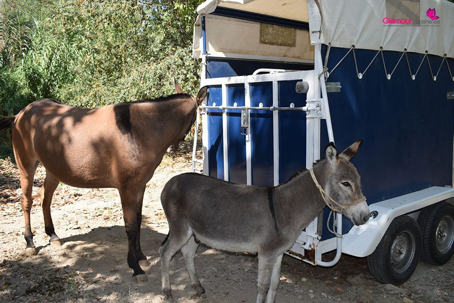DSC_0465
