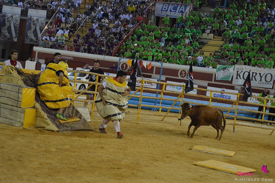 bidones 1