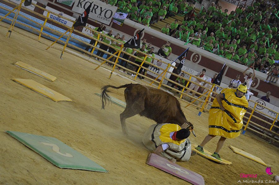 bidones 2