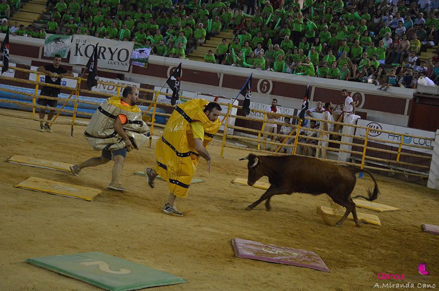 bidones 4