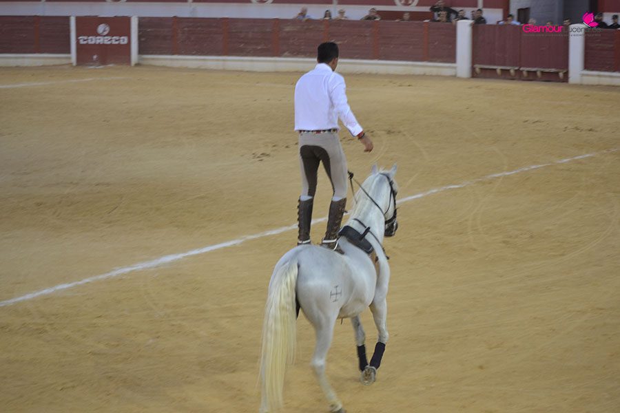 caballos 2