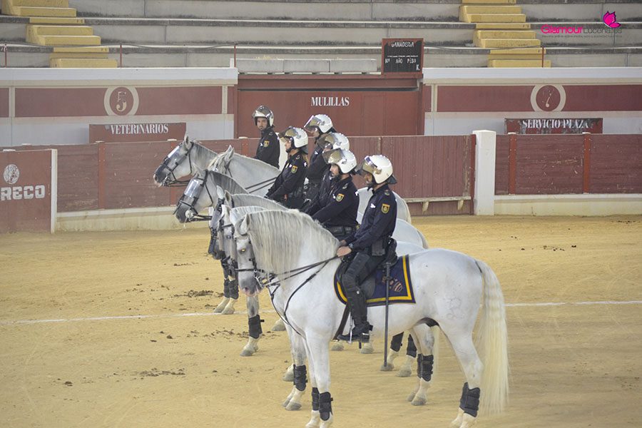caballos 5