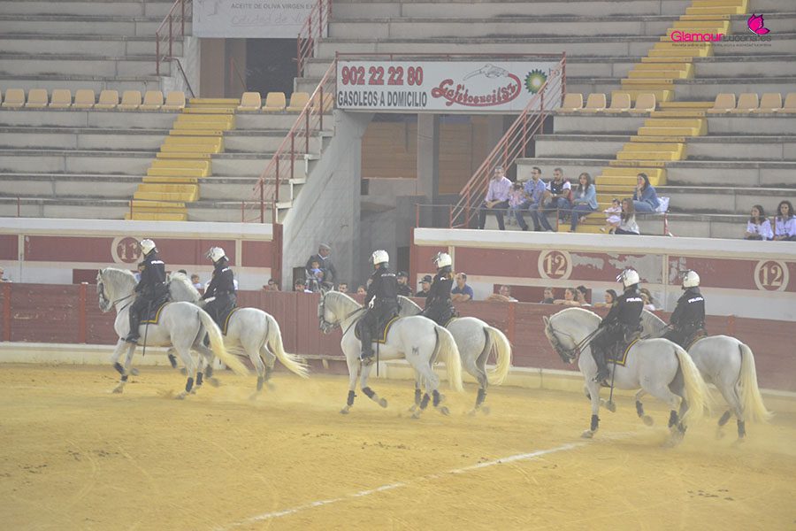 caballos 6
