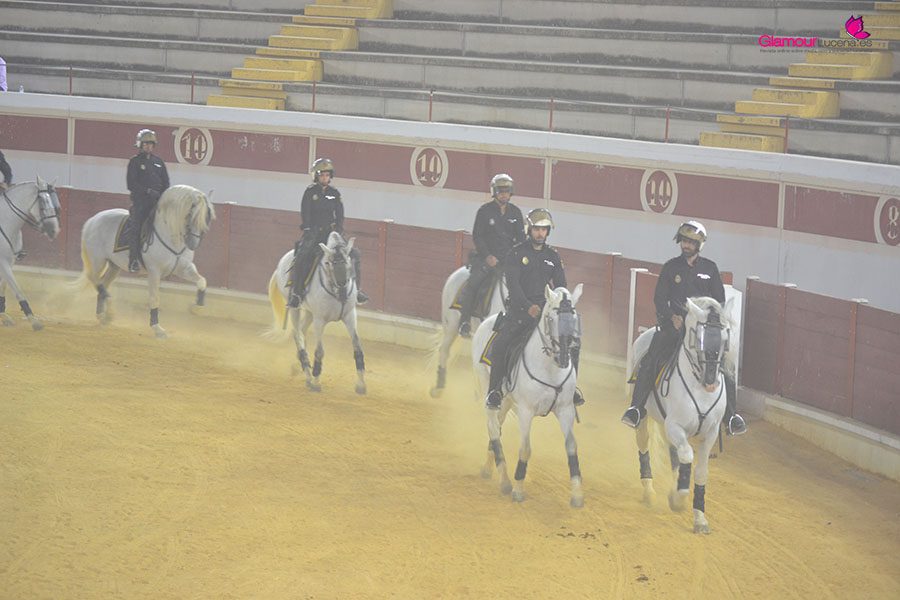 caballos 7
