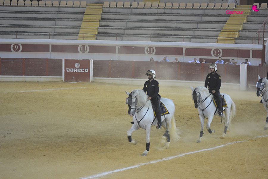 caballos 8