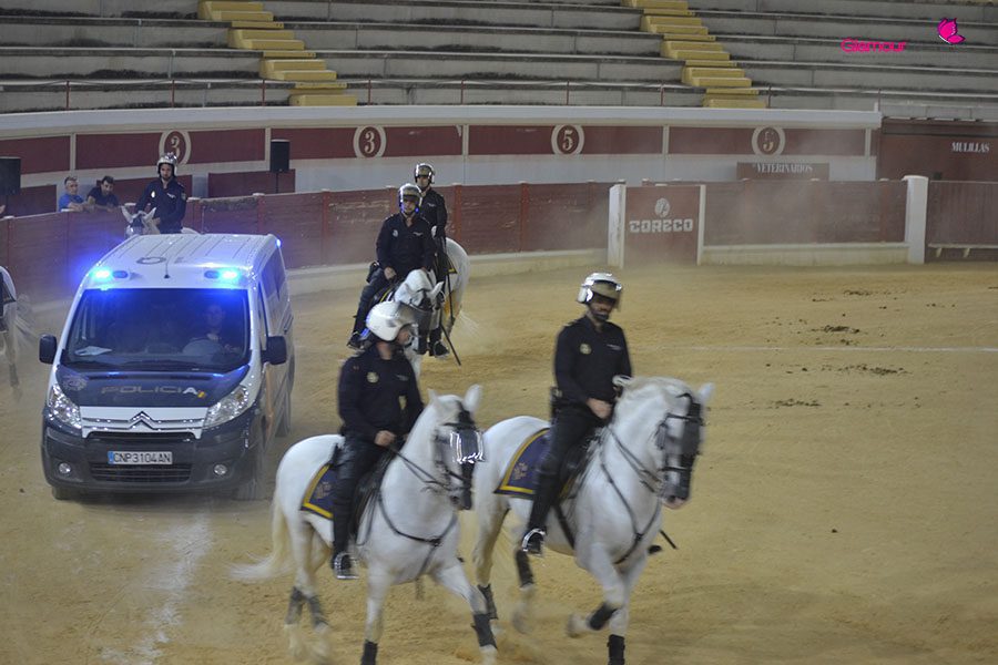 caballos 9
