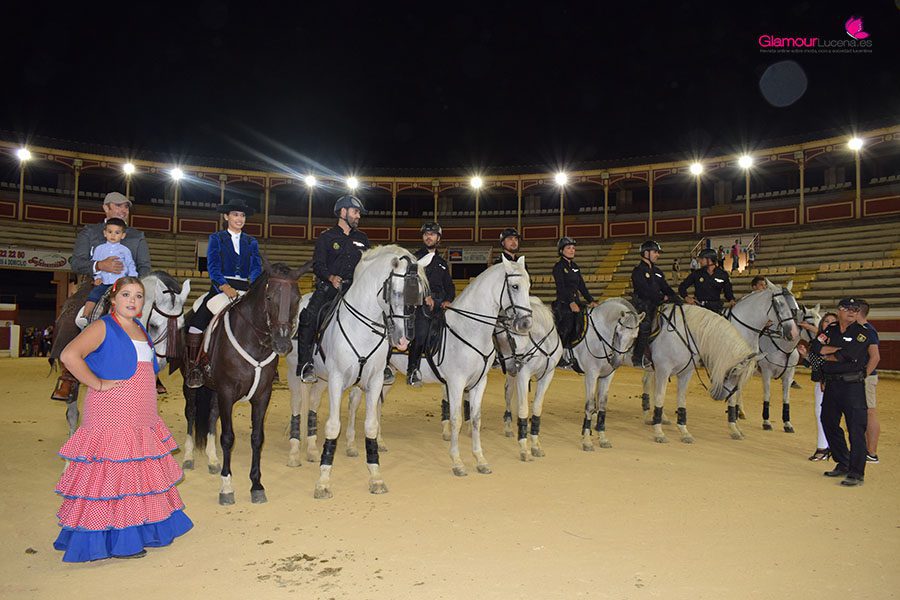 final caballos portada