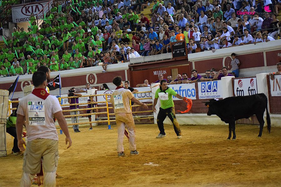 toro 1