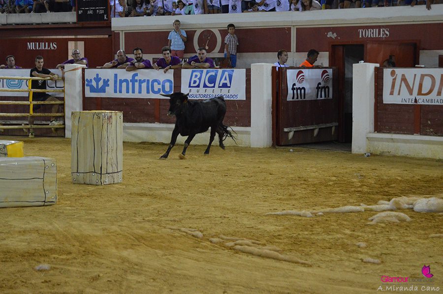 toro 1