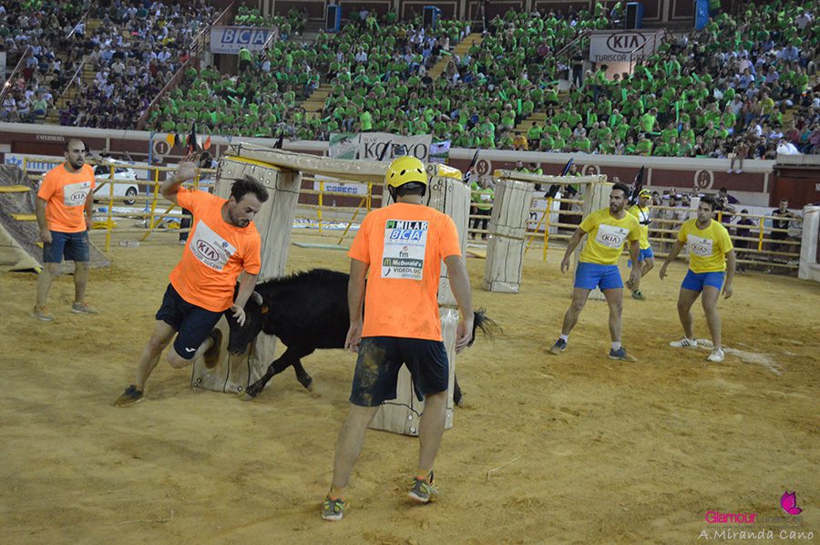 toro 4