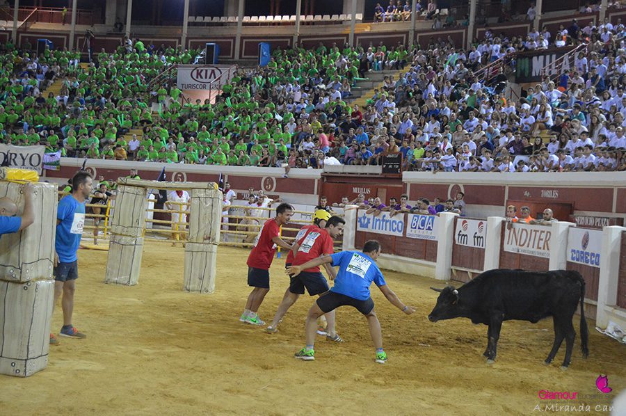 toro 8