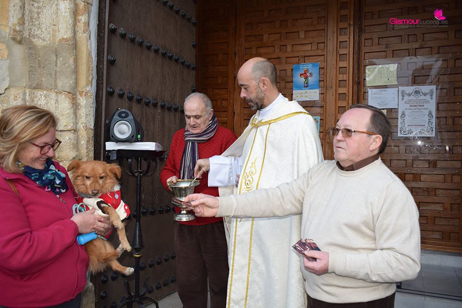 perros 23