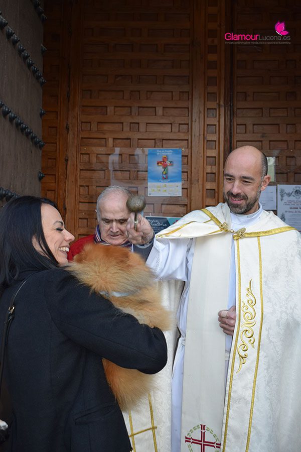 perros 8