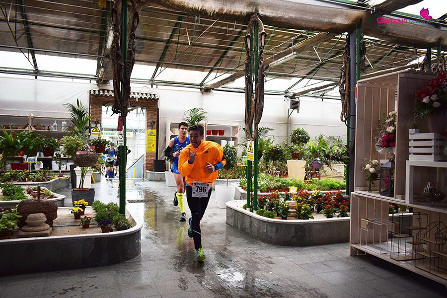 maraton 29
