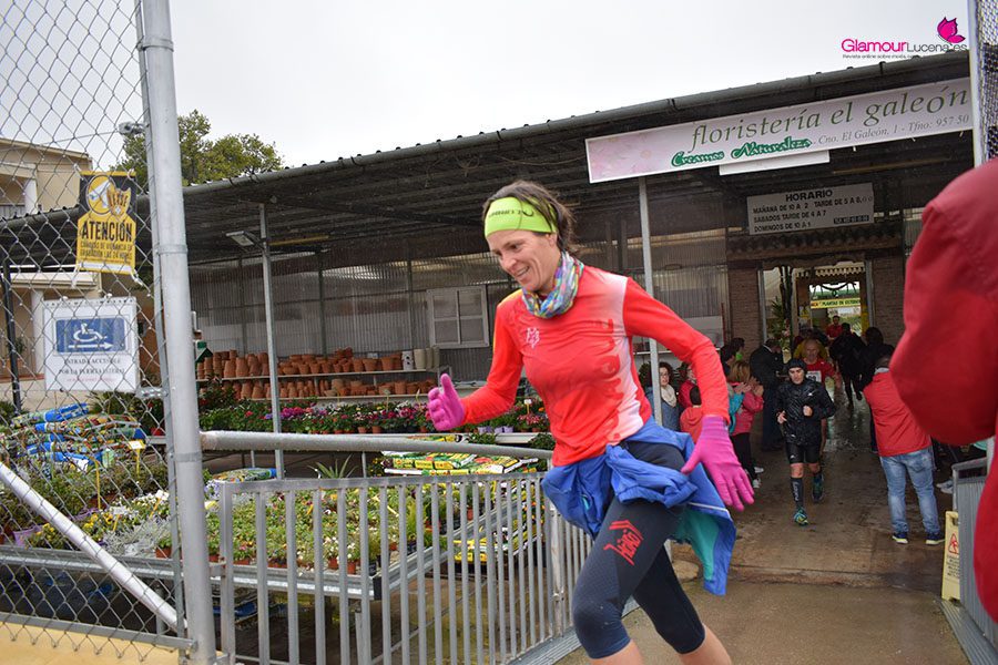 maraton 33