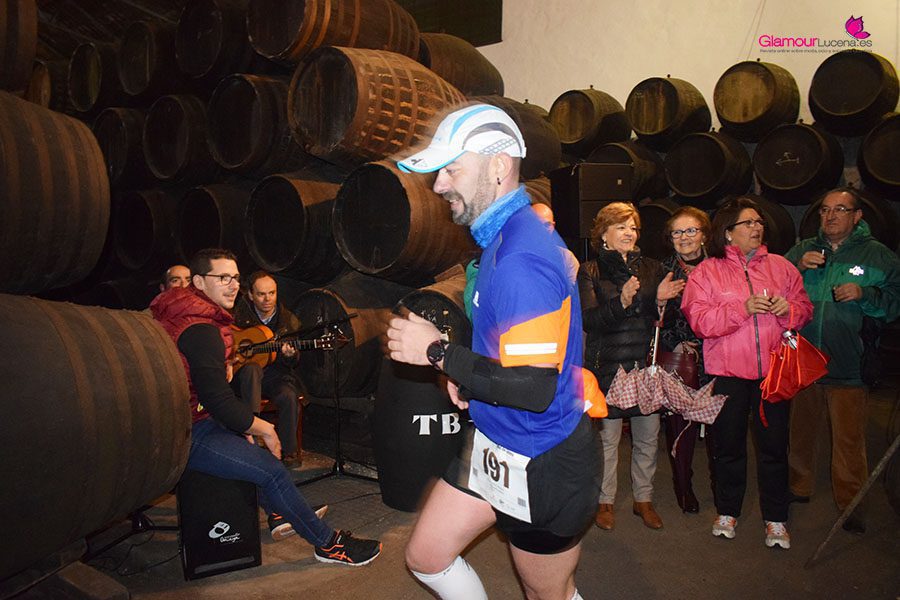 maraton 41