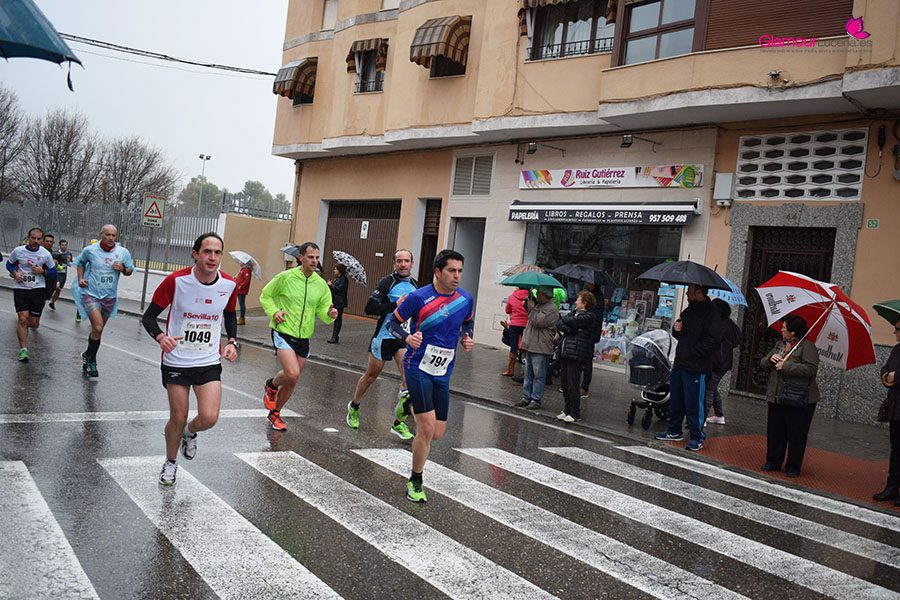 maraton 8