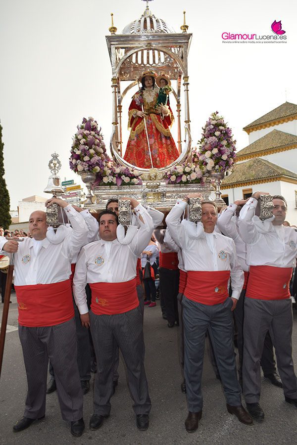 romeria 28