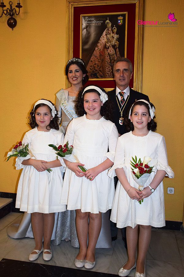 damas 20