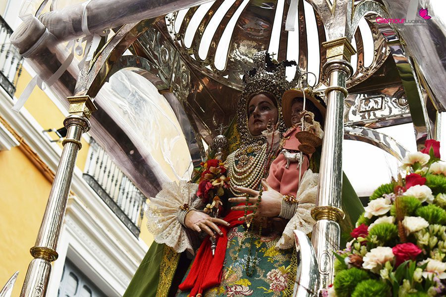 romeria 15