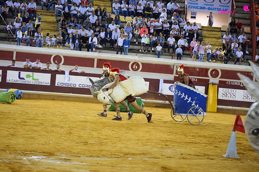 TERCERA 5