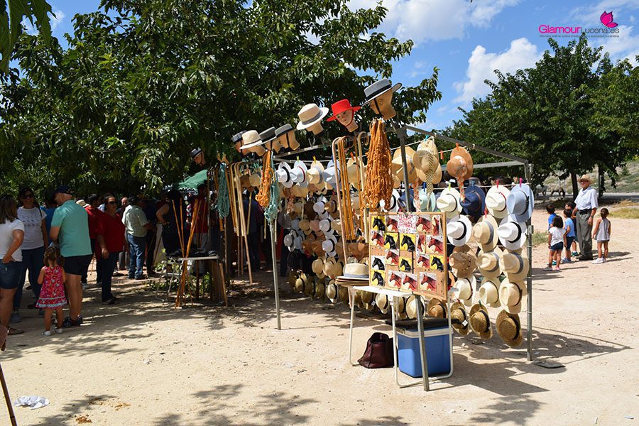 caballos 10