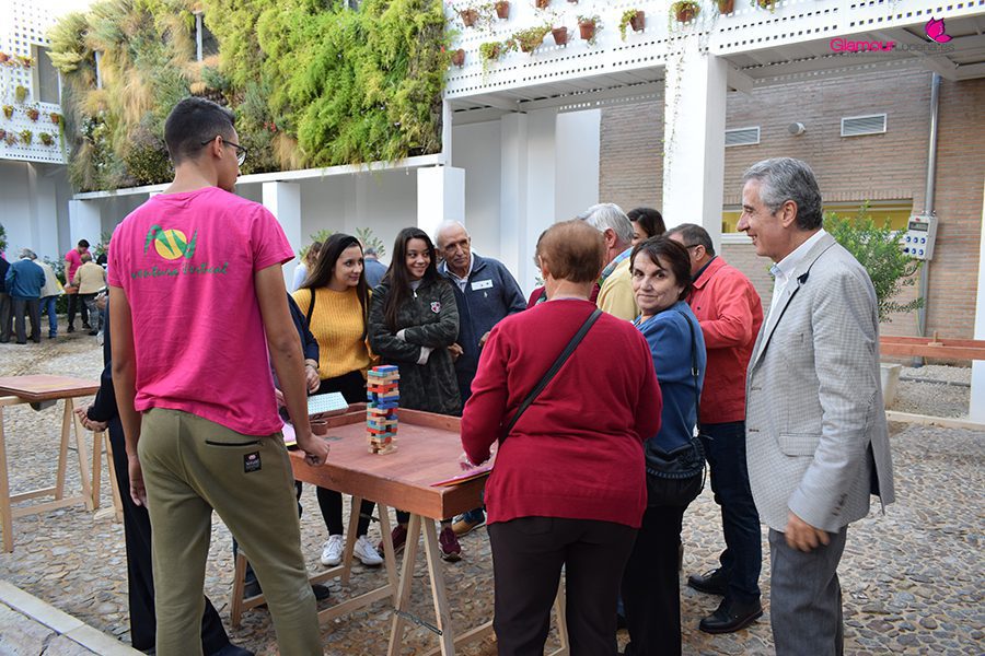 MAYORES 6