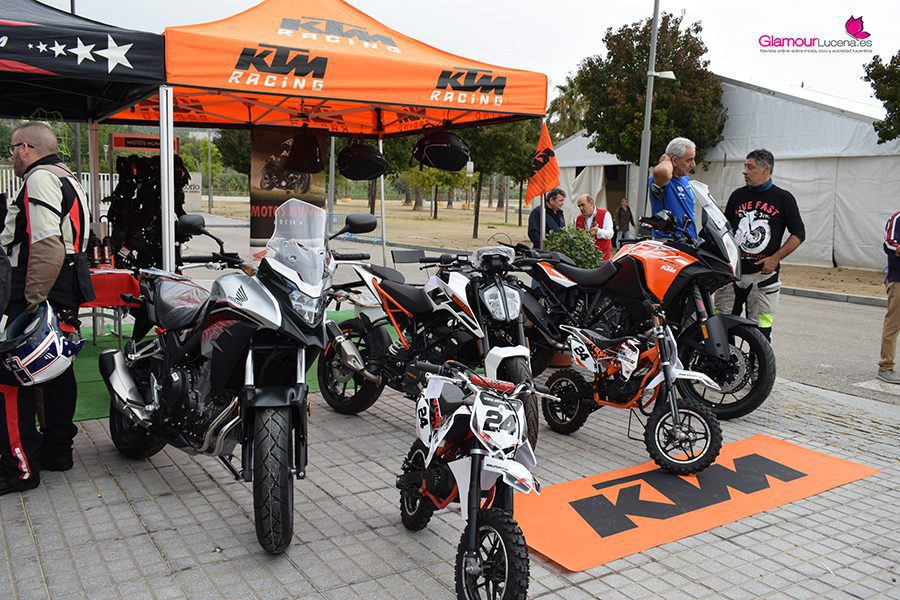 rider 8