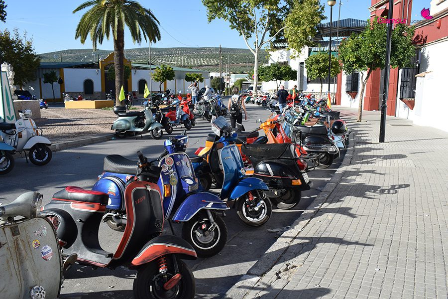vespa 14