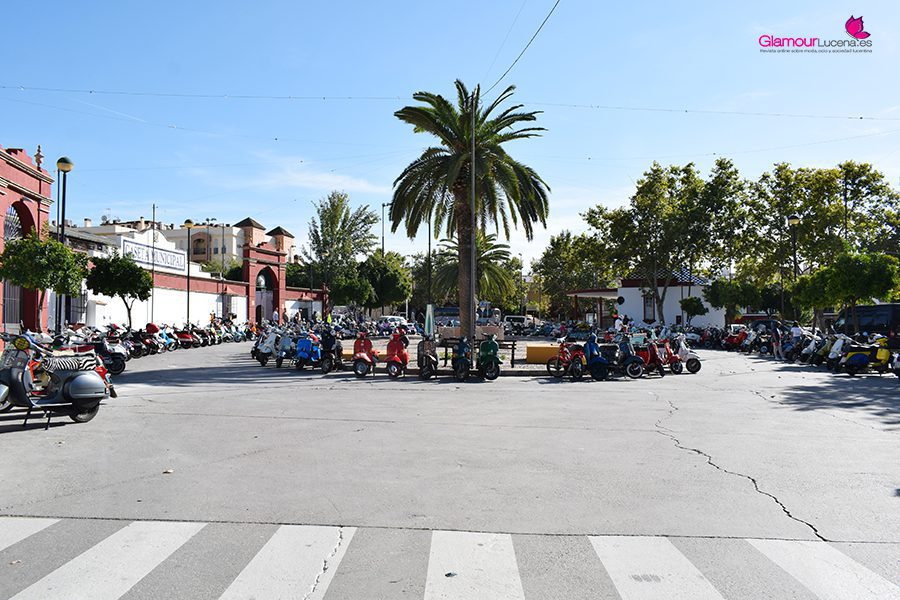 vespa 15