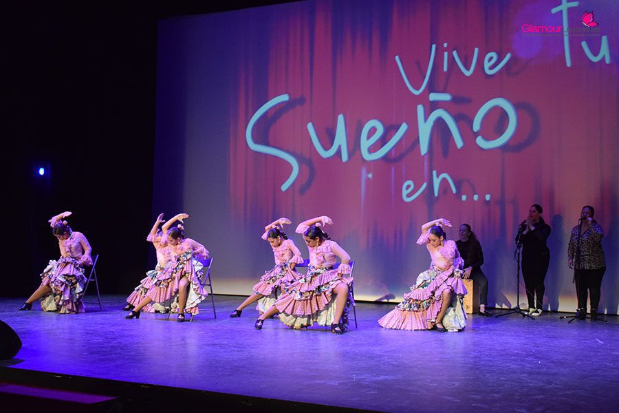 vive 6