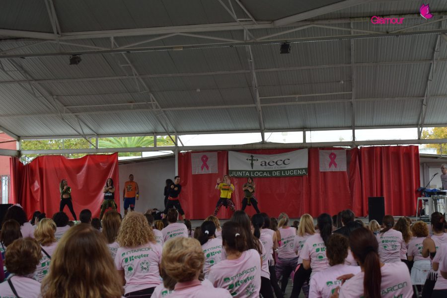 zumba 6