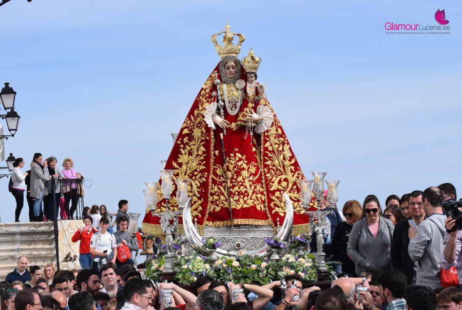 JUBILEO 11