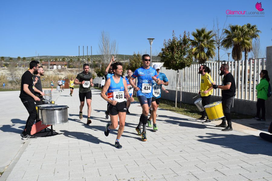 maraton 37