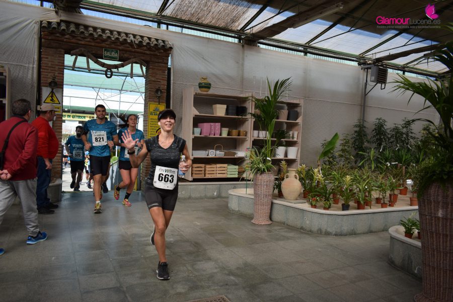 maraton 46