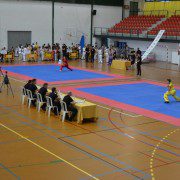 Celebración del Campeonato de Artes Marciales Chinas en Lucena