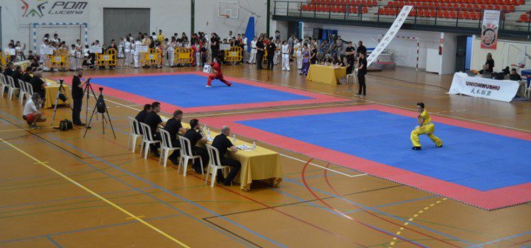 Celebración del Campeonato de Artes Marciales Chinas en Lucena