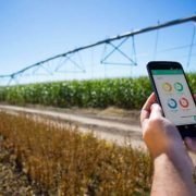 FIMART 2018 celebra en Lucena una jornada sobre la innovación tecnológica en el mundo agroalimentario