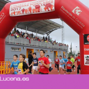La Carrera Popular Ciudad de Lucena moviliza a 2.065 corredores