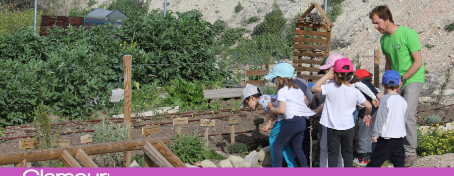 El programa educativo ‘Nos acercamos a la huerta’ implicará a 700 escolares de Lucena