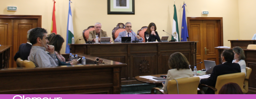 El Pleno aprueba el Reglamento del Defensor de la Ciudadanía del Ayuntamiento de Lucena