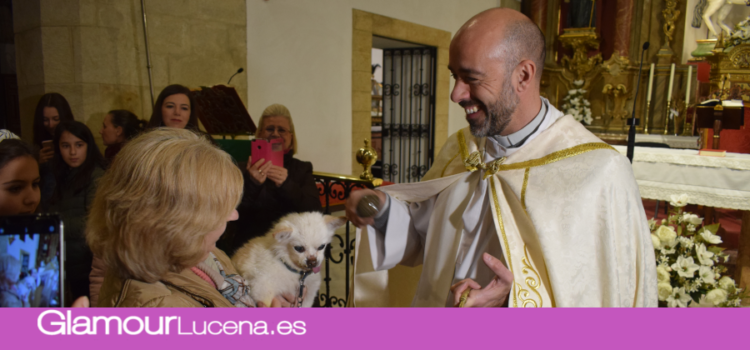 Las mascotas lucentinas acuden a la Parroquia de Santiago para recibir la bendición de su patrón San Antón