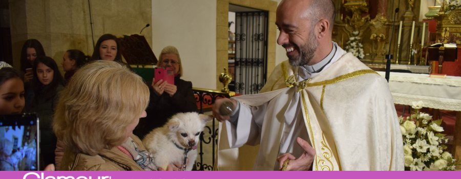 Las mascotas lucentinas acuden a la Parroquia de Santiago para recibir la bendición de su patrón San Antón