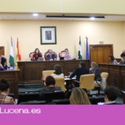 Cinco entidades y personas de Lucena recibirán la Bandera de Andalucía el próximo 28 de febrero