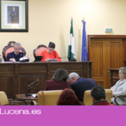 PSOE Lucena presentará una moción a pleno para garantizar proyectos sobre Igualdad y contra la Violencia de Género