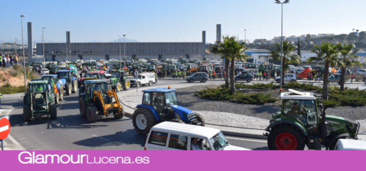 Miles de Agricultores acuden a Lucena a la gran tractorada en protesta por los precios del aceite