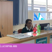 El Ayuntamiento de Lucena aumenta hasta las 251 las familias atendidas en Servicios Sociales a raíz de la crisis sanitaria