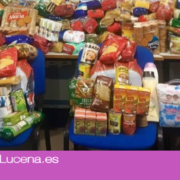 Vox Lucena inicia una campaña de recogida de alimentos y donativos