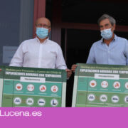 Ayuntamiento y sector olivarero piden mantener las medidas preventivas durante la campaña de recogida de la aceituna